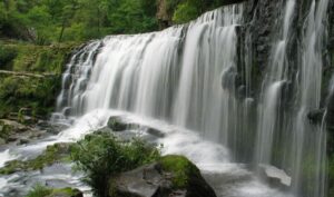 Amboli