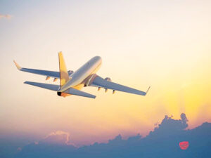 Flights