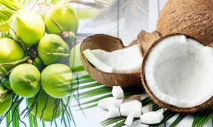 1429889-coconut-benefits