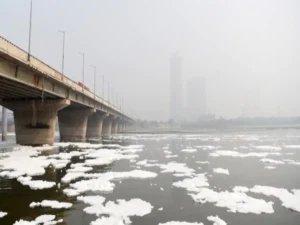 yamuna_river_delhi_1669247126