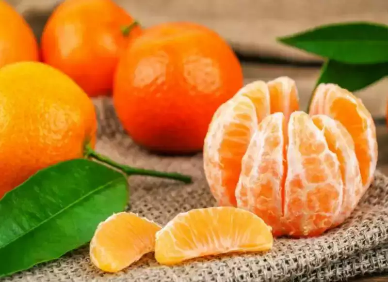 सस्ता, सुलभ और स्वास्थ्य रक्षक फल : संतरा