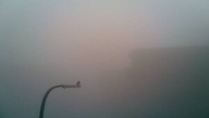 delhifog_650x425_010816085815