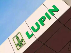 lupin