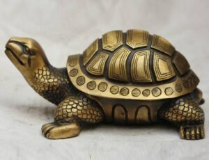 tortoise-10_555_022218101020