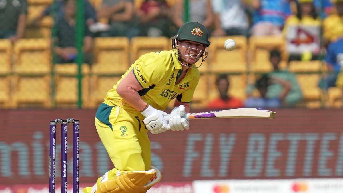 वार्नर ने बनाए 34 रन, ऑस्ट्रेलिया-पाकिस्तान मैच में बारिश का खलल