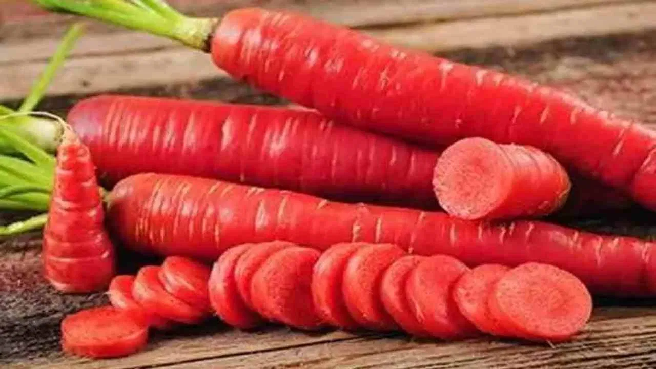 स्वास्थ्य के लिए गुणकारी है गाजर