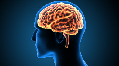 न्यूरालिंक ने पहली बार मानव मस्तिष्क में अपनी चिप प्रतिरोपित की, क्या गड़बड़ियां हो सकती हैं?