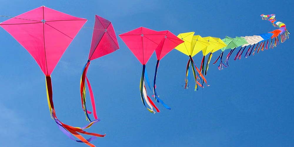 पंजाब की पहली पतंगबाजी प्रतियोगिता के विषयों में पर्यावरण संरक्षण, लैंगिक समानता शामिल