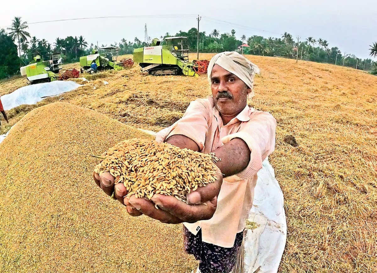 ओडिशा : बेरोजगारी, भ्रष्टाचार और धान खरीद में अनियमितता के आरोप हो सकते हैं निर्णायक मुद्दे