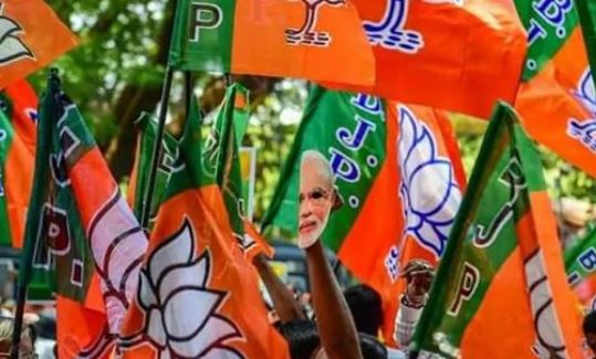 bjp-flag