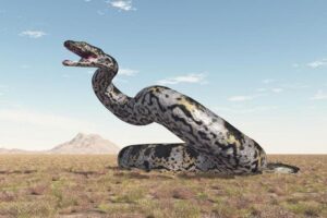 0.98638700_1713512319_istock-snake