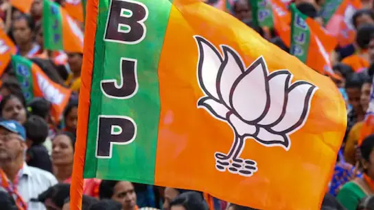 दिल्ली की सभी सात सीट पर भाजपा उम्मीदवार आगे, पार्टी कार्यकर्ताओं ने मनाया जश्न