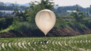 A balloon believed to have been sent by North Korea, carrying various objects including what appeared to be trash and excrement, is seen over a rice field at Cheorwon