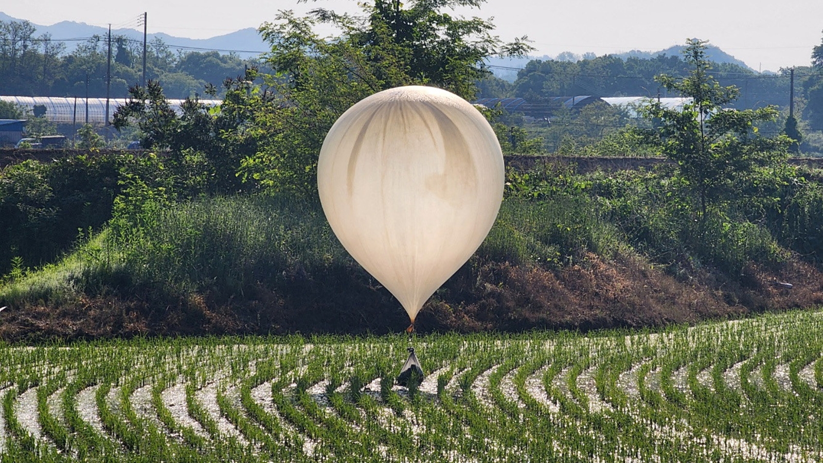 उत्तर कोरिया ने सियोल की ओर फिर से गुब्बारे छोड़े, दक्षिण कोरिया में कचरा गिराने की संभावना