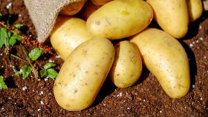 Potatoes-1024x576