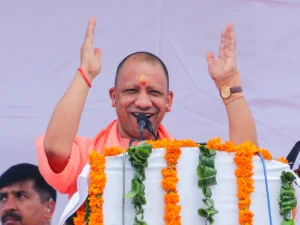 cm_yogi_1725613699764_1725613700069