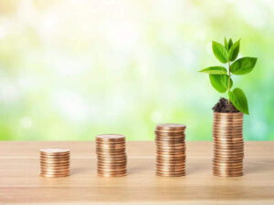 mutual-funds-industry-adds-81-lakh-new-investor-accounts-in-apr-may-fy25