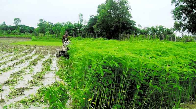 प्राकृतिक खेती आत्मनिर्भरता की औषधि है।