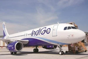 indigo