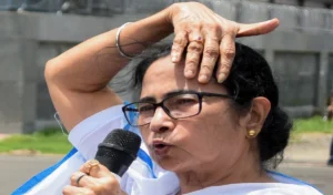 mamata-banerjee_large_1128_153