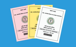 Blog_Generic_Different-Types-of-Ration-Cards-Issued-in-India-800x500