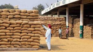 Paddy-Purchase-in-Punjab-2