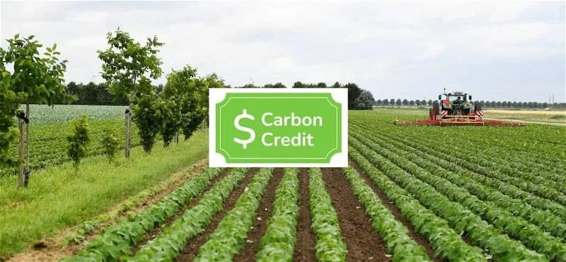 carbon-credits-farming-1068x495-1