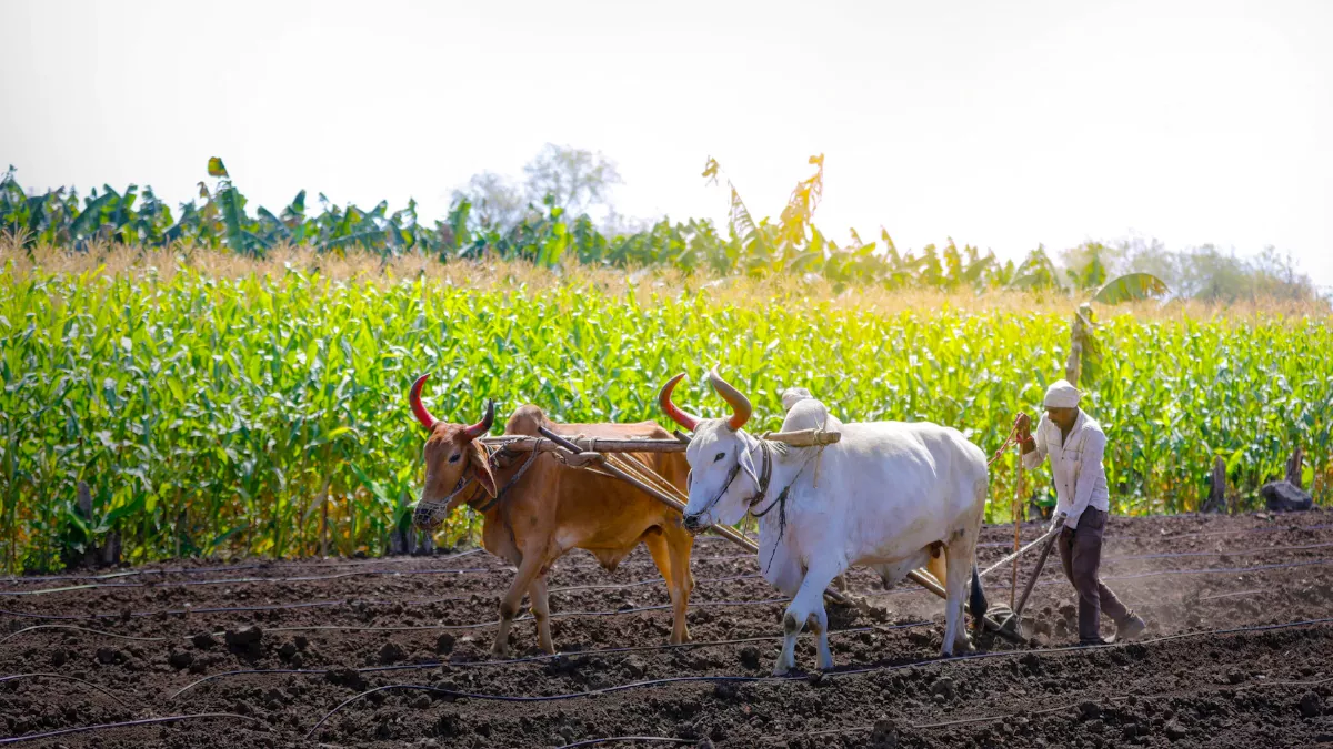 23_12_2022-national_farmers_day_2022_f_23268469