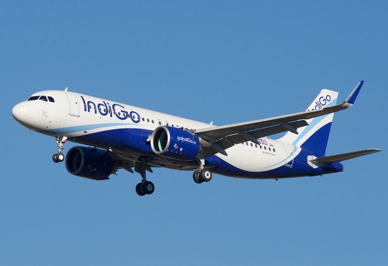 Indigo-1