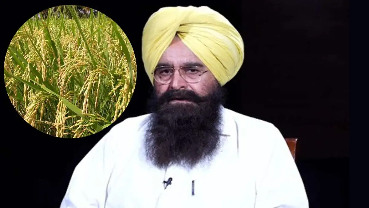 Punjab-Agriculture-Minister-Gurmeet-Singh