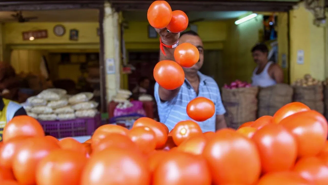 Tomato-Price-Tamatar-Ke-Dam