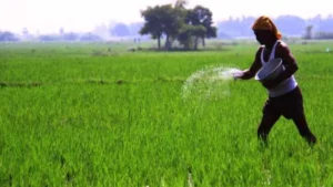 17_08_2022-jharkhand_farmer_22985938