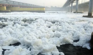 kalindi-kunj_large_1013_153
