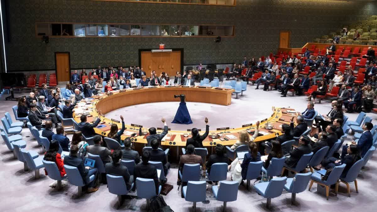 1200-675-24106649-thumbnail-16x9-unsc