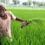 kisan-mandhan-2