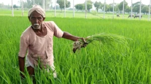 kisan-mandhan-2