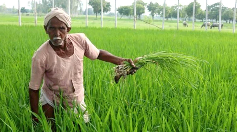kisan-mandhan-2