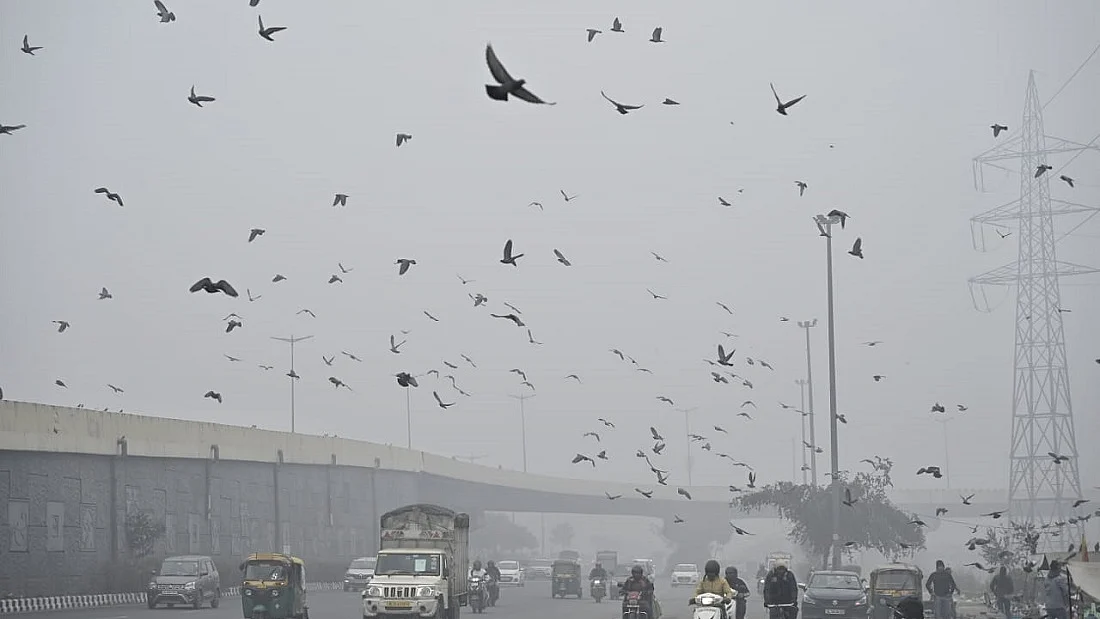 navjivanindia_2025-01-05_ty7mroaq_Delhi-Morning