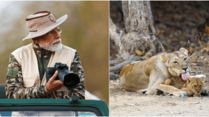 pm-modi-announces-asiatic-lion-population-estimation