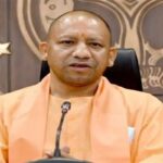 yogi