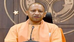 yogi
