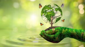 World-Environment-Day