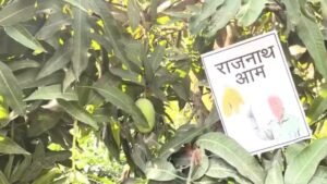 rajnath-mango-1749193862