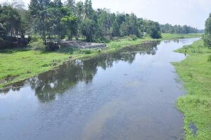 river_conservation1_22_07_2019