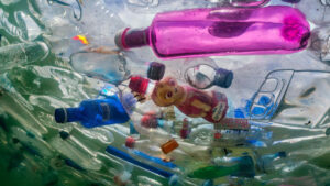 single-use-plastic-1569929626