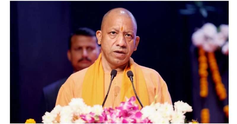 Yogi-1200x900-2-1_68a8644c1b6d7