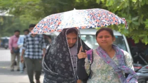 15_06_2025-13alc_10_13062025_515_23964357