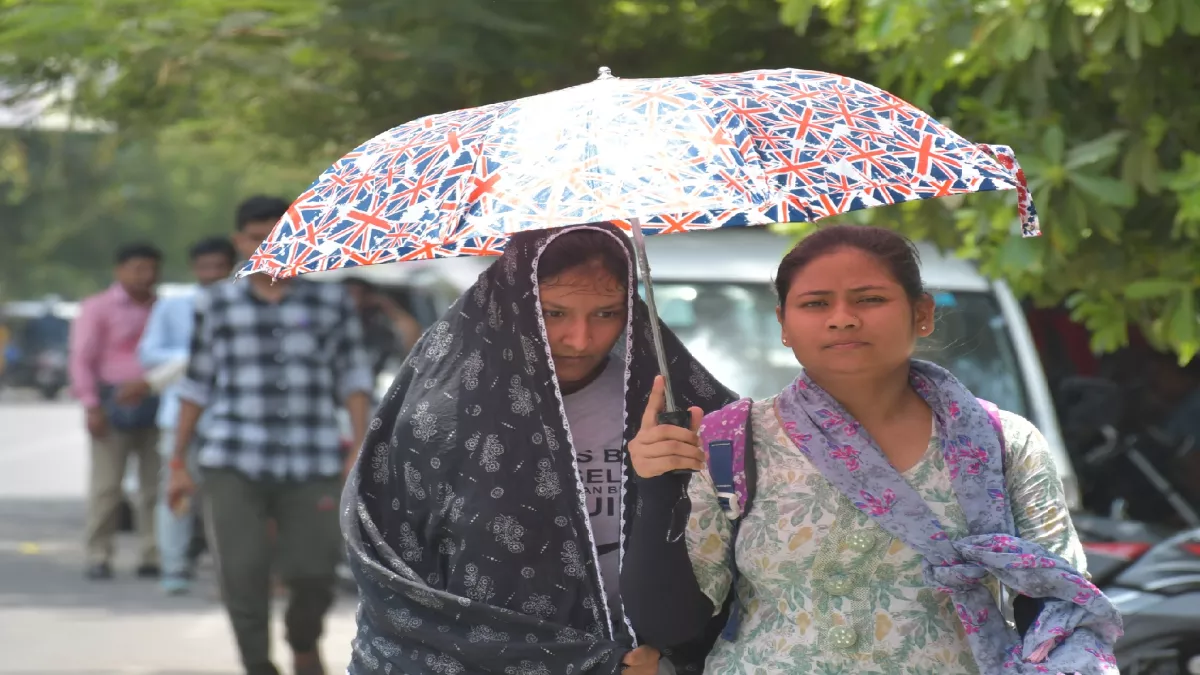 15_06_2025-13alc_10_13062025_515_23964357