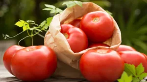 6imkimq_tomatoes_625x300_22_July_23