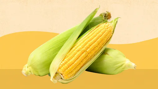 corn-101-a-complete-guide-1440x810
